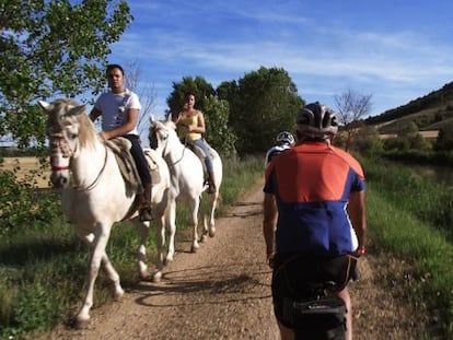 Paseo a caballo y junto al Canal de Castilla.