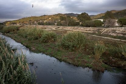 En la imagen el Rio Besos a la altura de la depuradora de Montcada i Reixac.