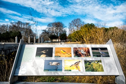 Cartel con los tipos de aves que habitan en el río Manzanares cerca del Puente de Rey, este viernes. 