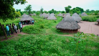 <p>Pueblo de Labrab, en el Estado sursudanés de Jonglei. La mayoría de los desarraigados huyeron a la selva o caminaron durante días para llegar a los poblados lejos de los combates. Otros completaron distancias aún mayores para encontrar refugio en los países vecinos de Kenia, Etiopía y Uganda. </p> <p>Este tipo de refugio ocupa una superficie de unos 21,5 metros cuadrados y se puede levantar en un día con ayuda de tres personas. Los refugios más pequeños tienen unos cinco metros de diámetro, y los grandes alcanzan hasta diez metros. Estos pueden usarse como espacios comunitarios. </p>