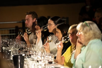 Catas at the Rioja Centenary Festival in London.