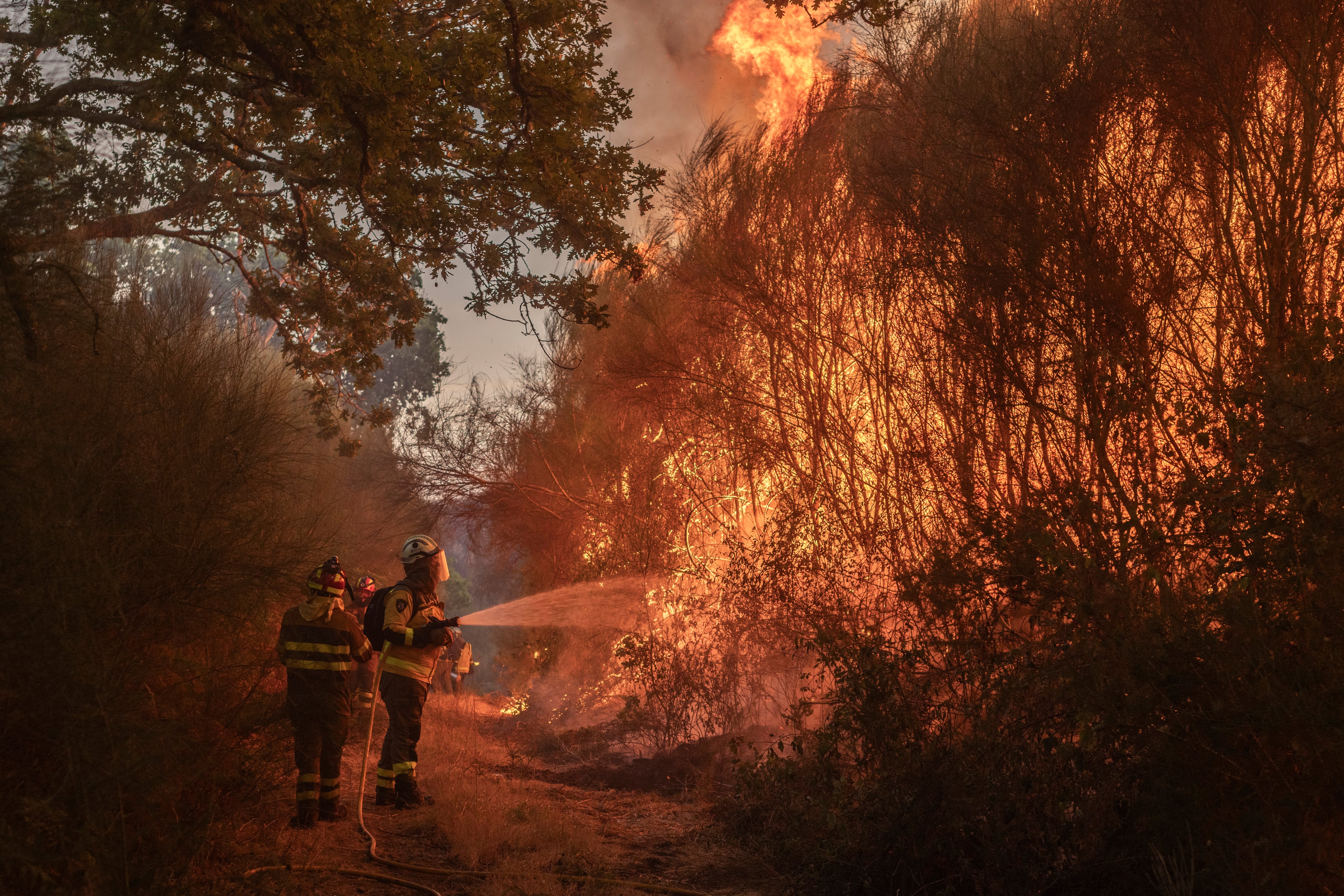 Termina agosto con un 46% menos de superficie forestal quemada que la media de los últimos 10 años gracias a la meteorología 