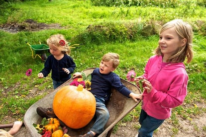 Unos niños juegan con una calabaza, una hortaliza cultivada en buena parte 
 del mundo.