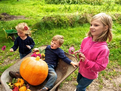 Unos niños juegan con una calabaza, una hortaliza cultivada en buena parte 
 del mundo.