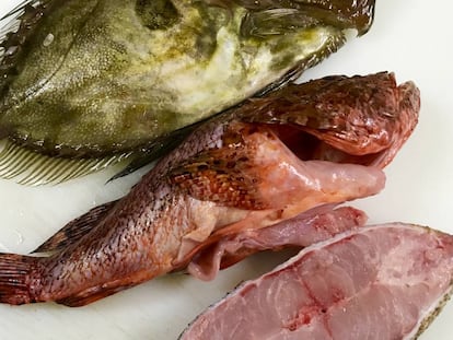 PESCADOS PARA LA SALMORRA / CAPEL