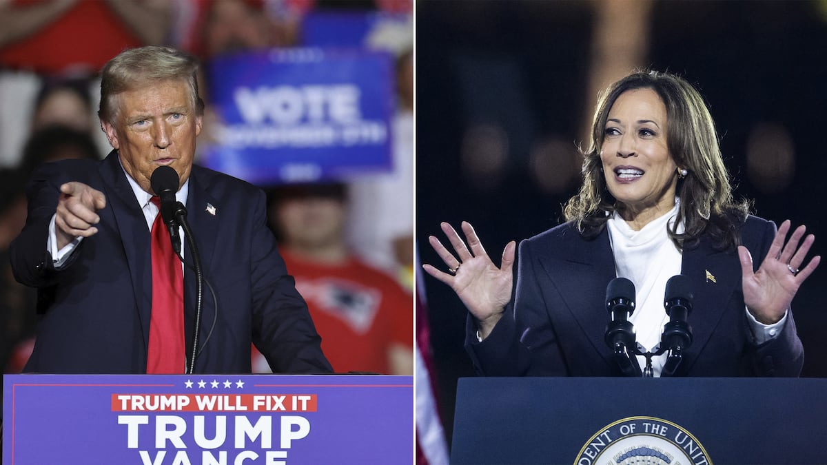 Trump or Harris: Mexico’s dilemma in the United States elections