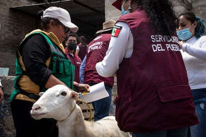 El grupo imponía precios abusivos y obligaba a comerciantes a vender o comprar en sitios específicos, según explicó este martes el fiscal del Estado de México. 