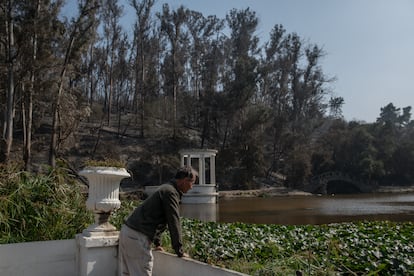 Un hombre en el Jardín Botánico de Viña del Mar, este lunes, tras los incendios que asolaron la ciudad el fin de semana.