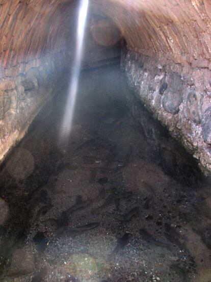 En el conjunto de las regiones áridas de Irán, la agricultura es sostenida por el antiguo sistema de riego de los qanats, que toman el agua de los acuíferos en lo alto de los valles y la hacen circular por túneles subterráneos que a menudo miden varios kilómetros.