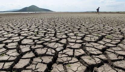 A drought in Thailand, 190km outside Bangkok.