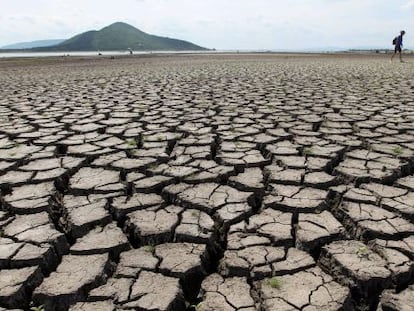 Sequía en Tailandia, a 190 kilómetros de Bangkok. 