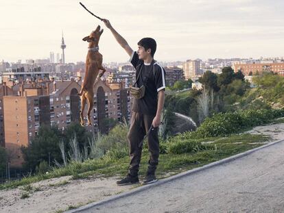 Retrato de 39 perros con sus dueños
