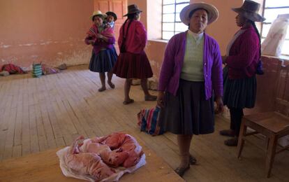 Mujeres de la comunidad campesina de Chocopia se preparan para cocinar unos cuyes, en primer plano.