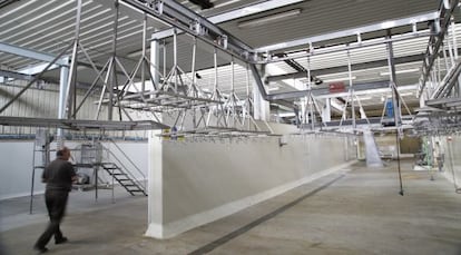 Interior de las instalaciones del matadero de Mercasevilla.