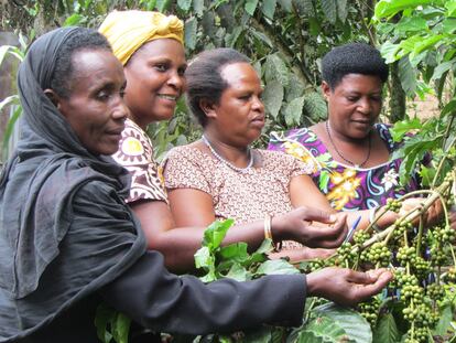 Un café por y para las mujeres de la cooperativa