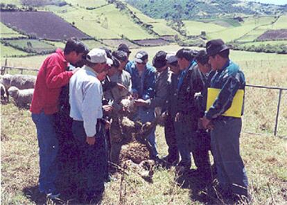 Ejecutivos de Codespa impartiendo formación en Ecuador.