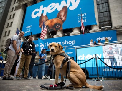 Un perro en la Bolsa de Nueva York el 14 de junio de 2019, día en que comenzó a cotizar la empresa Chewy.