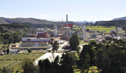 Biofábrica de Ence en Navia (Asturias).