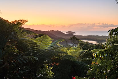 Vista elevada sobre el Parque Nacional Daintree al amanecer, Queensland, Australia