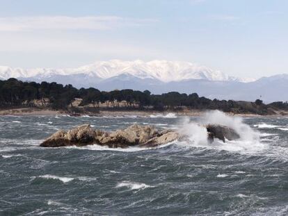 La flota pesquera del nord de la Costa Brava s'ha quedat a terra pel temporal de vent.