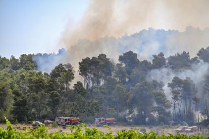 Un equipo de bomberos trabaja en apagar el incendio forestal en Saint-Laurent-de-la-Cabrerisse, Francia, este jueves.