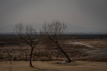 Vista de la laguna de Zumpango  durante una sequía, en el Pueblo Nuevo de San Pedro, en el Estado de México, el 29 de febrero de 2024. 