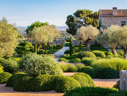 La dehesa de Yonte en Ávila protagoniza la portada del último libro de Claire Takacs. En este proyecto, el paisajista Miguel Urquijo sustituyó la pradera de césped por plantas mediterráneas adaptadas al clima extremo de la zona.
Fotografía: Claire Takacs.