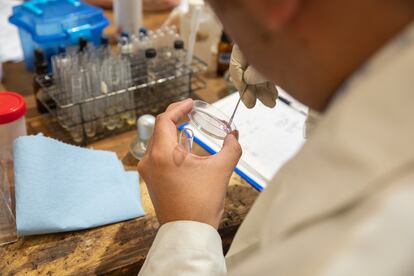 A scientist analyzes a sample as part of the initiative organized by Radio Nopal and the DiVU Collective, in Mexico City.