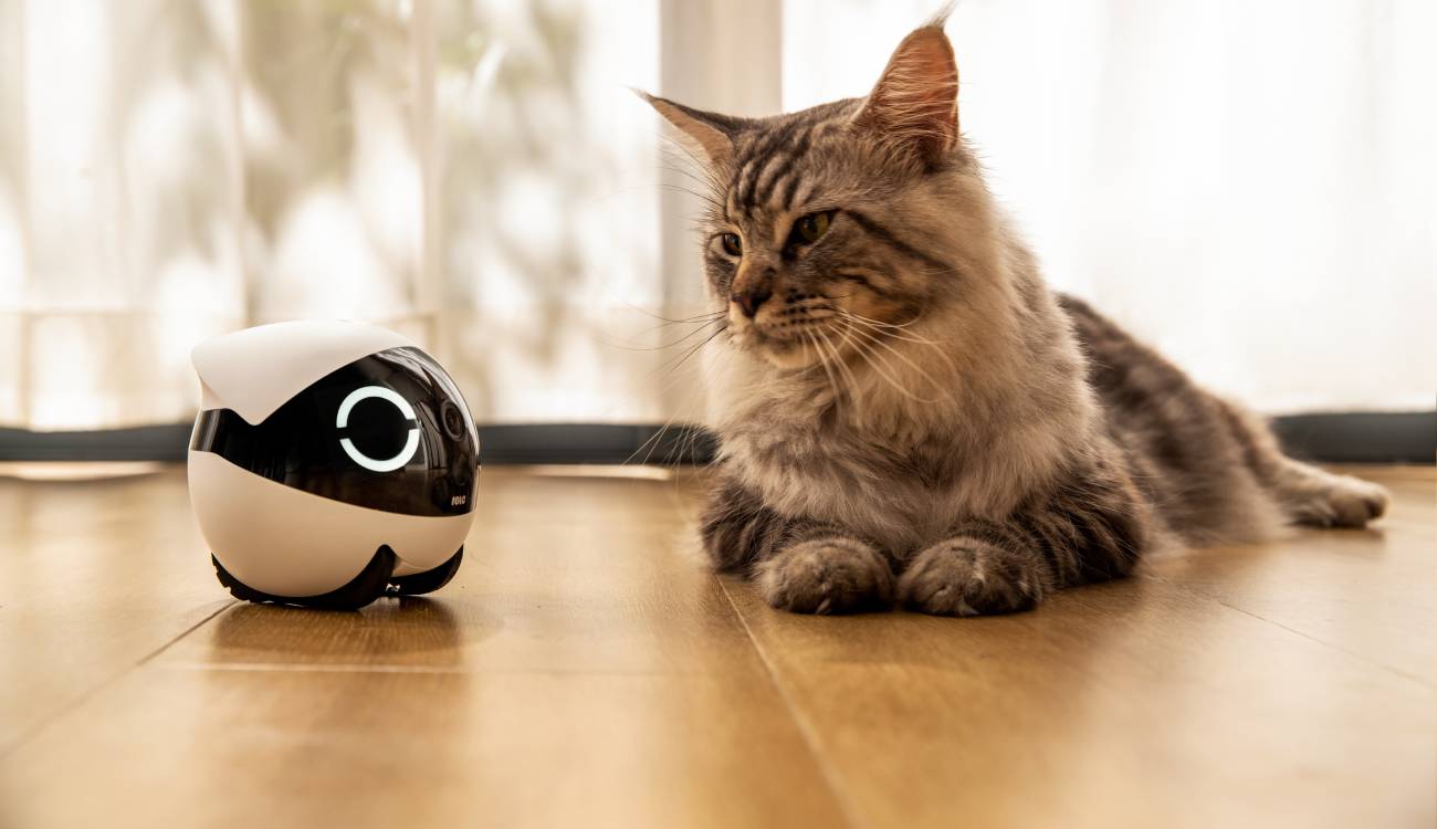 Enabot EBO ROLA Mini, así es el robot con cámara perfecto si tienes mascotas en casa