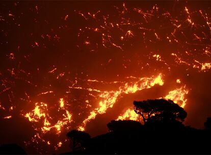 Incendio esta noche de un bosque del monte Penteli, considerado el pulmón de la capital de Grecia. El prefecto de Atenas ha calificado de "desastre ecológico" la situación
