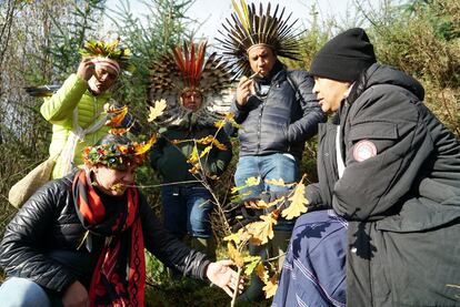 Un grupo de indígenas de Brasil y Mesoamérica planta un pequeño roble en la comunidad Kilfanan en Escocia.
