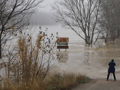 3/11/2021 - zaragoza - En la imagen el río Ebro a su paso por la localidad de Alagon. Foto: Massimiliano Minocri