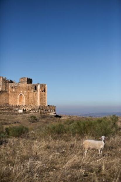 Parte del castillo de Montalb&aacute;n, en la carretera que une La Puebla de Montalb&aacute;n con San Mart&iacute;n de Montalb&aacute;n.