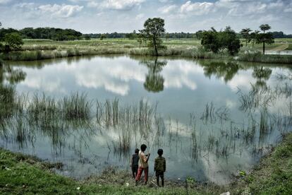 Roja y sus amigos pasan horas pescando en un estanque junto a los campos de arroz.