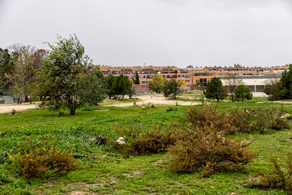 Parte de la parcela donde se proyecta el cantón de Montecarmelo, al norte de Madrid.