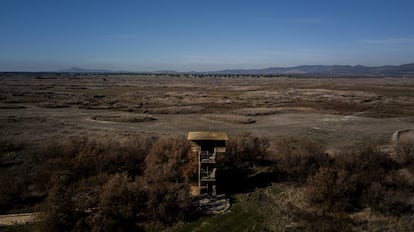 Torre de observación de aves Prado Ancho frente a una de las tablas completamente seca. 