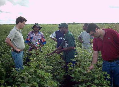 Una de las plantaciones de la empresa en Angola.