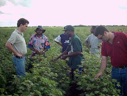Una de las plantaciones de la empresa en Angola.