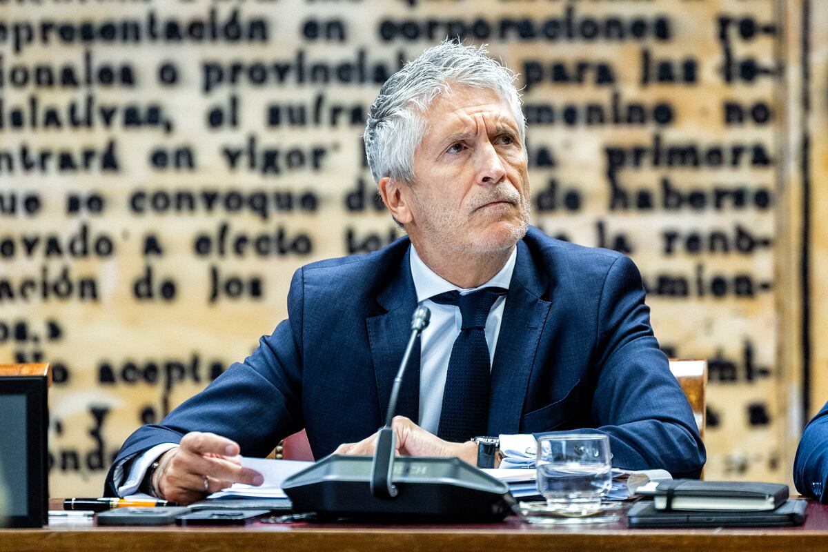 Marlaska acusa al PP de “fabricar una versión distorsionada de la ...