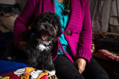 Un perro junto al regazo de su dueña enferma.