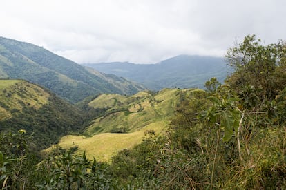 Las laderas del bosque nublado en los alrededores de Yunguilla.