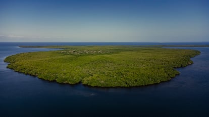 La reserva marina de Kwale, componente de la Área de Conservación Marina de Tanga, posee uno de los bosques de manglares mejor conservado de la región. A escasos kilómetros, la petrolera francesa Total Energies construirá la terminal marítima desde la que se exportarán más de 216.000 barriles de crudo al día.