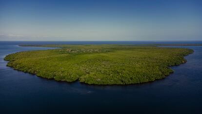 La reserva marina de Kwale, componente de la Área de Conservación Marina de Tanga, posee uno de los bosques de manglares mejor conservado de la región. A escasos kilómetros, la petrolera francesa Total Energies construirá la terminal marítima desde la que se exportarán más de 216.000 barriles de crudo al día.