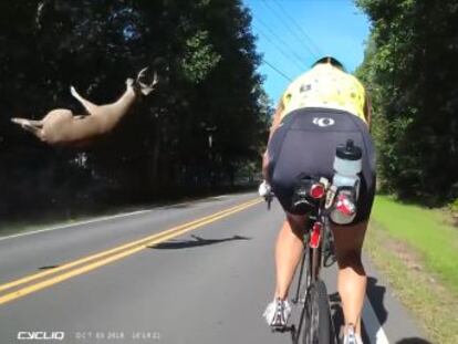 Un grupo de ciclistas grabó el atropello en una carretera de Estados Unidos.