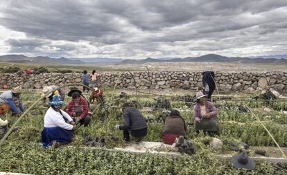 Mujeres trabajando en la comunidad de Cala Cala