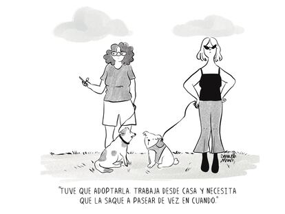 Adopción inversa, por Daniella Martí