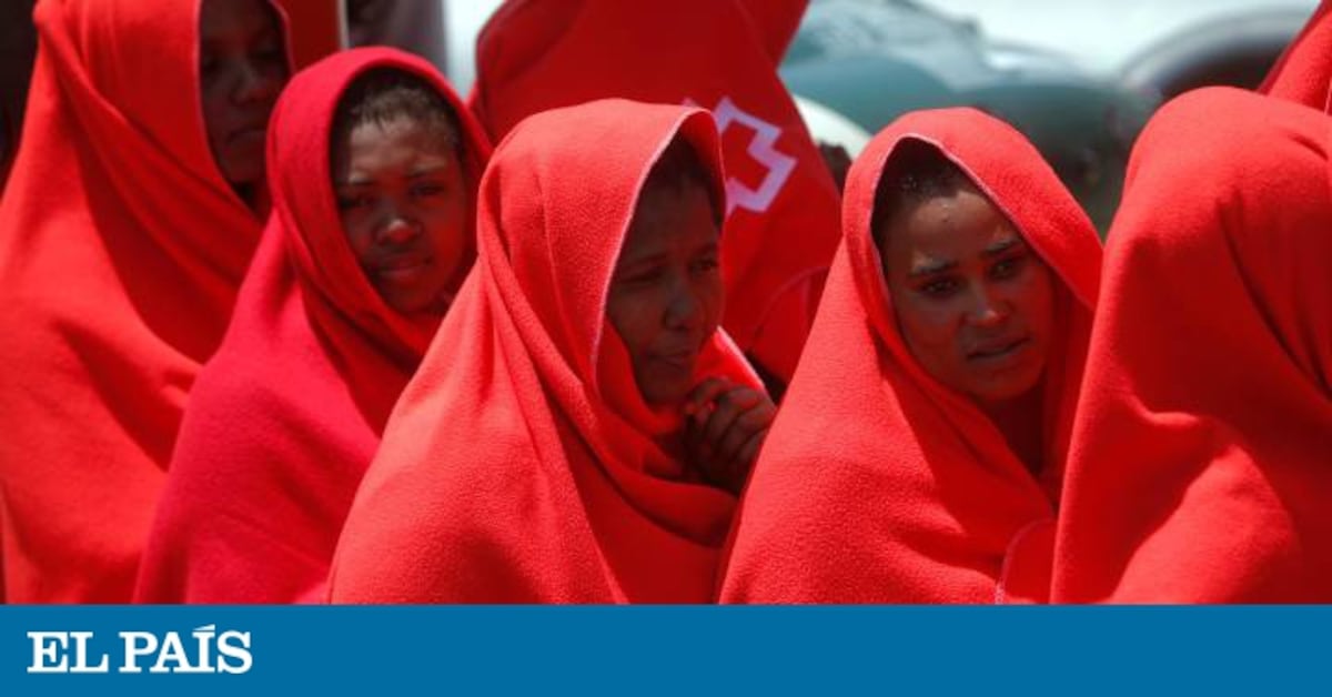 elpais.com