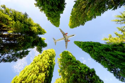 Un avión sobrevuela unos cipreses en la región de Chianti, en la Toscana (Italia).