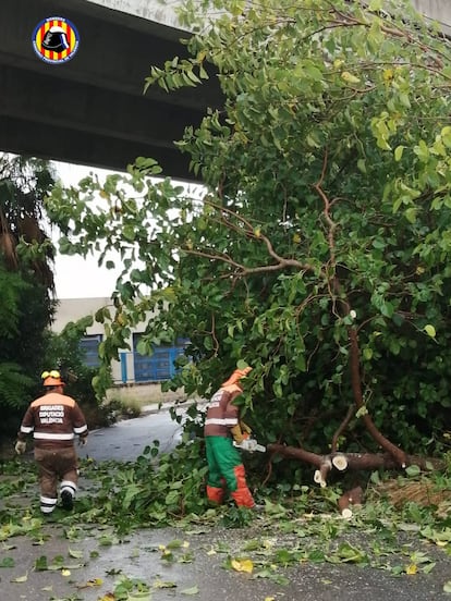 Bomberos retiran un árbol caído en Alzira (Valencia) a consecuencia de las lluvias caídas este martes.