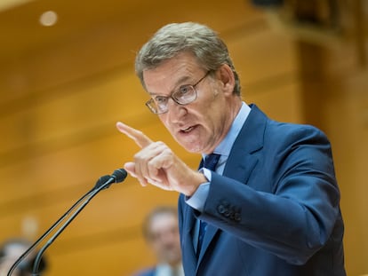 El presidente del PP, Alberto Núñez Feijóo, interviene en el pleno del Senado celebrado este martes.